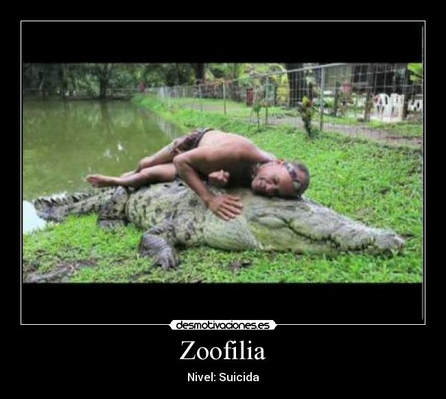 carteles wwwdesmotivacioneses desmotivaciones