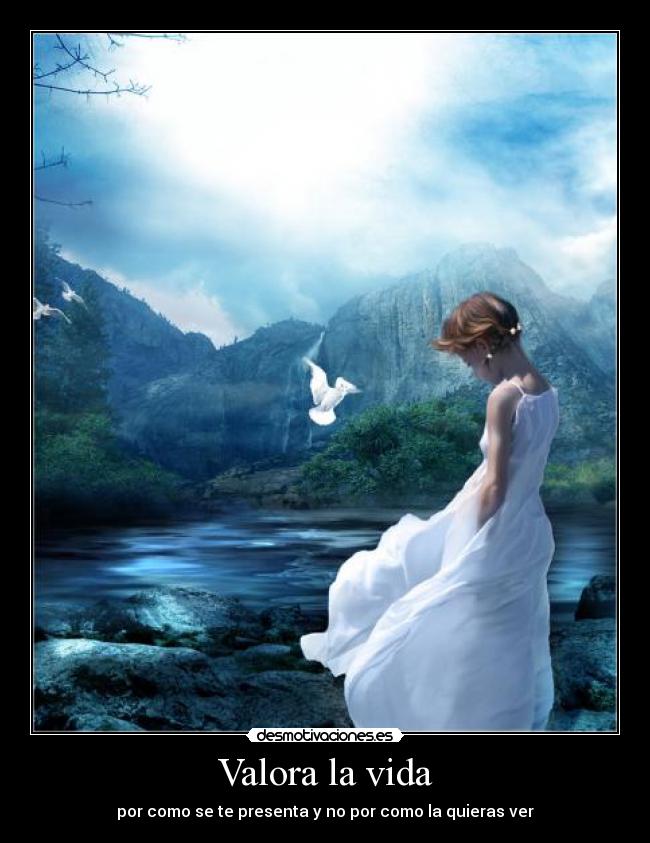 Valora la vida - 