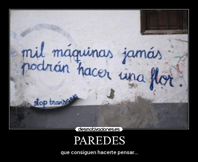 PAREDES - 