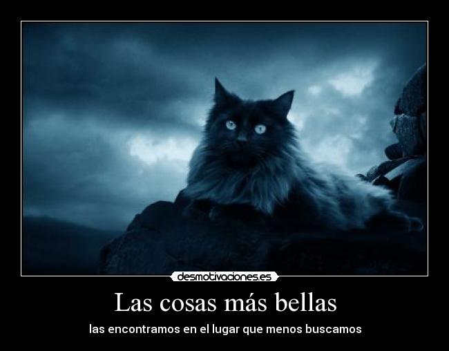 Las cosas más bellas -