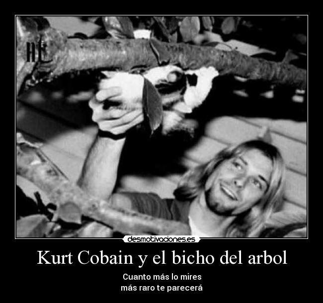 Kurt Cobain y el bicho del arbol - Cuanto más lo mires
más raro te parecerá