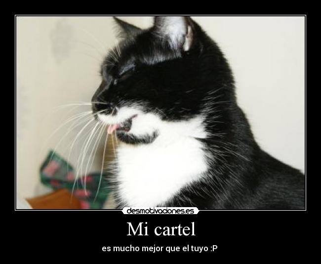 Mi cartel -