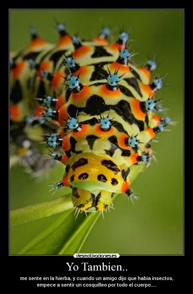 carteles fghfgh desmotivaciones