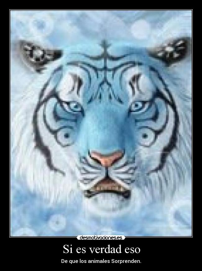 Si es verdad eso - De que los animales Sorprenden.