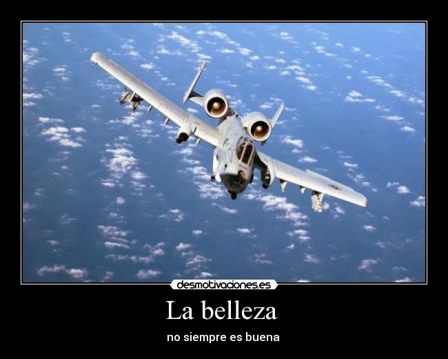 La belleza -
