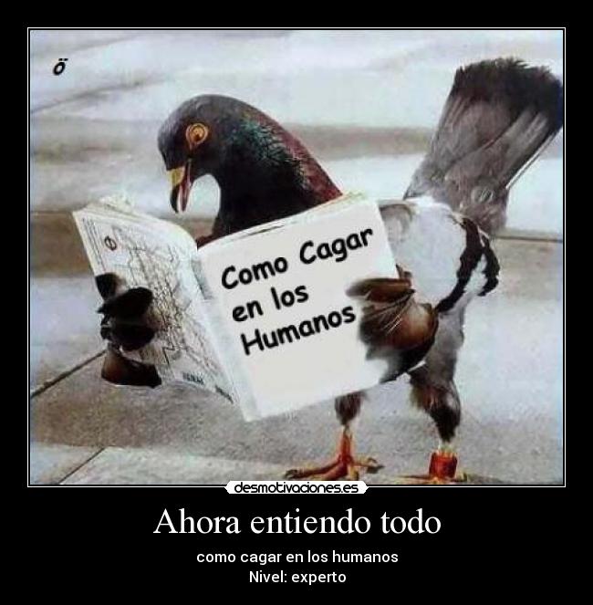 Ahora entiendo todo - como cagar en los humanos
Nivel: experto
