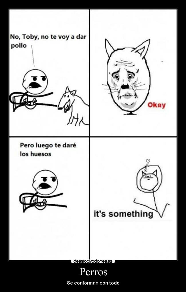 Perros - Se conforman con todo