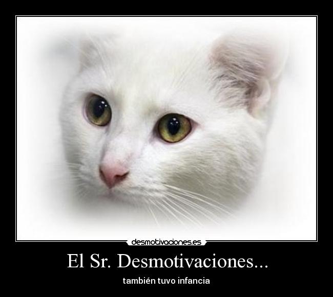 El Sr. Desmotivaciones... -