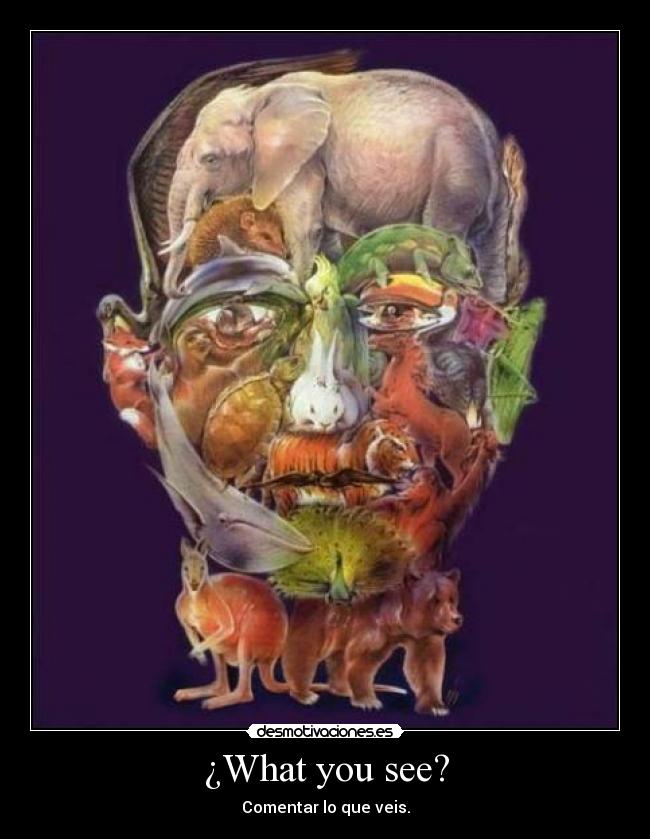 ¿What you see? -