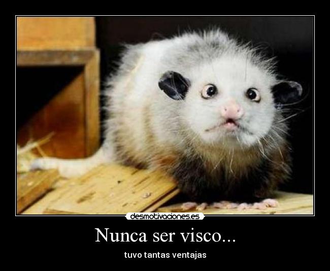 Nunca ser visco... -