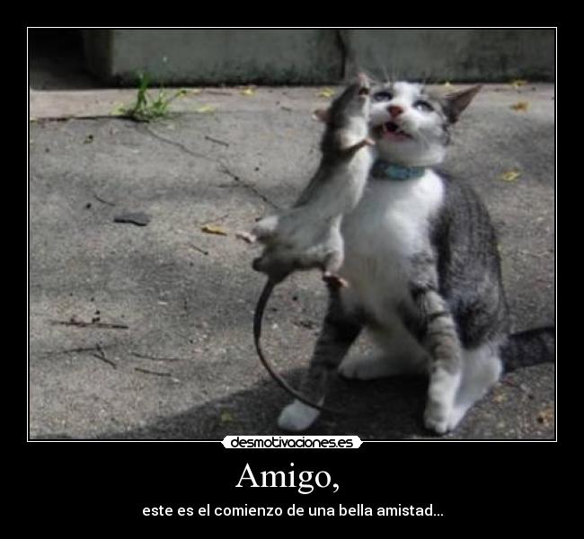 Amigo,  - 