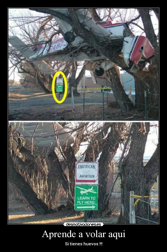 Aprende a volar aqui - Si tienes huevos !!!