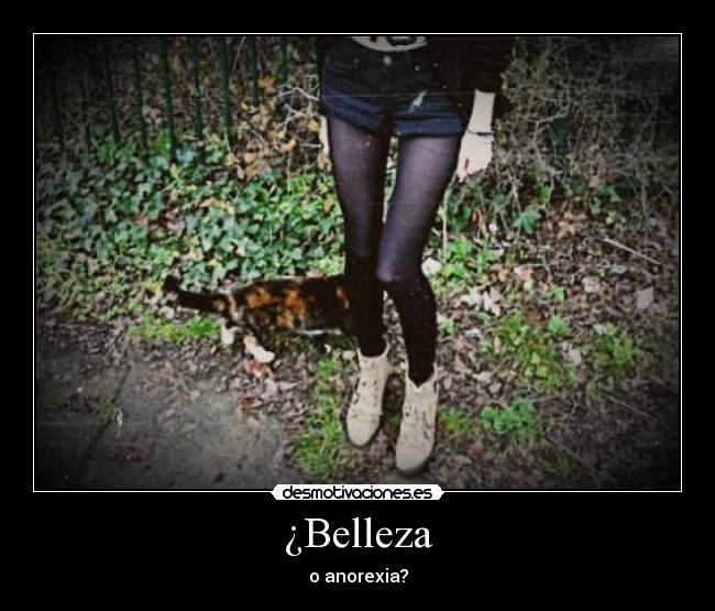 ¿Belleza - 