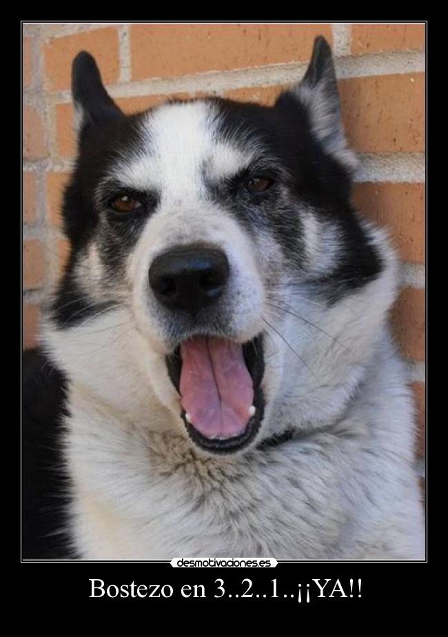 carteles desmotivaciones