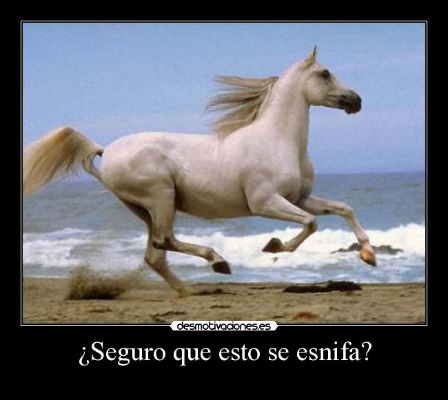 carteles heroina ciorocker caballo esnifar desmotivaciones