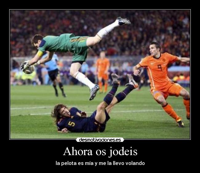 carteles pelota mia llevo volando desmotivaciones