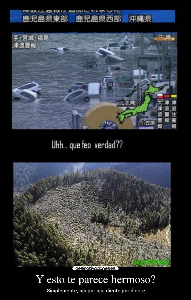 Y esto te parece hermoso? - 