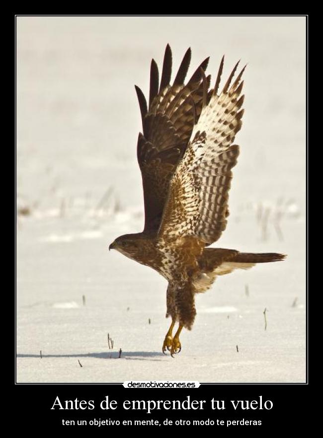 carteles nekolaly desmotivaciones