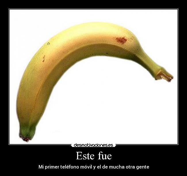 Este fue -