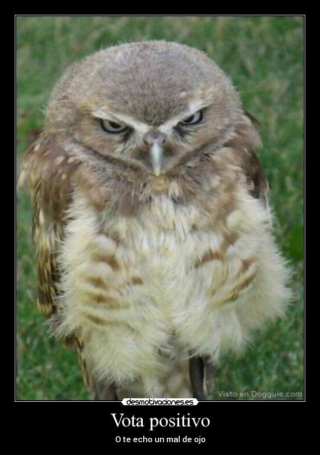 Vota positivo - O te echo un mal de ojo