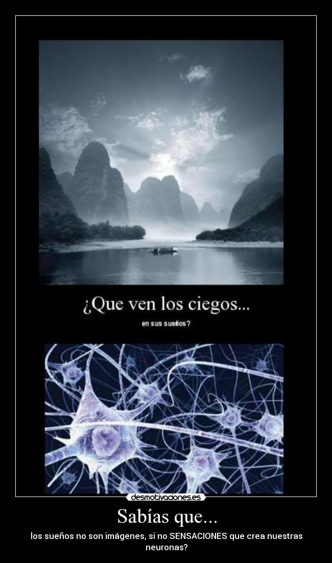Sabías que... - los sueños no son imágenes, si no SENSACIONES que crea nuestras neuronas?