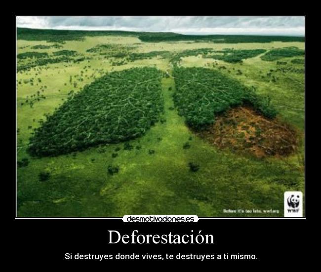 carteles deforestacion verde mundo vida desmotivaciones