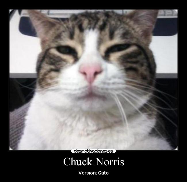 Chuck Norris -