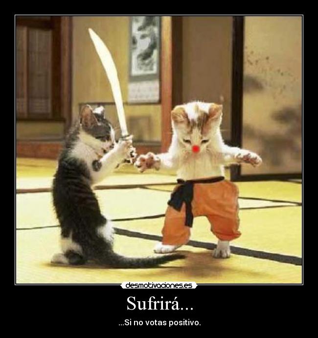 Sufrirá... - ...Si no votas positivo.