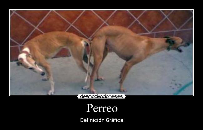 Perreo - Definición Gráfica