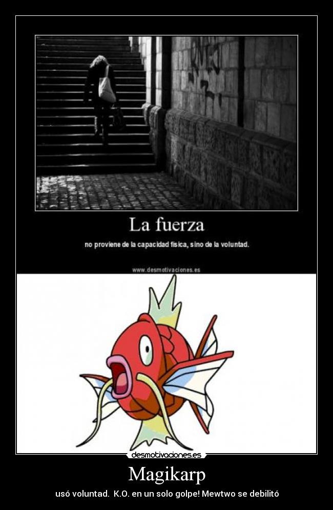 Magikarp -