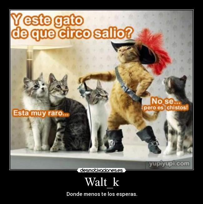 Walt_k - 