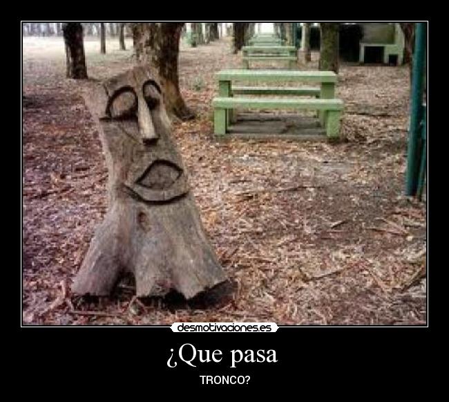 ¿Que pasa - TRONCO?