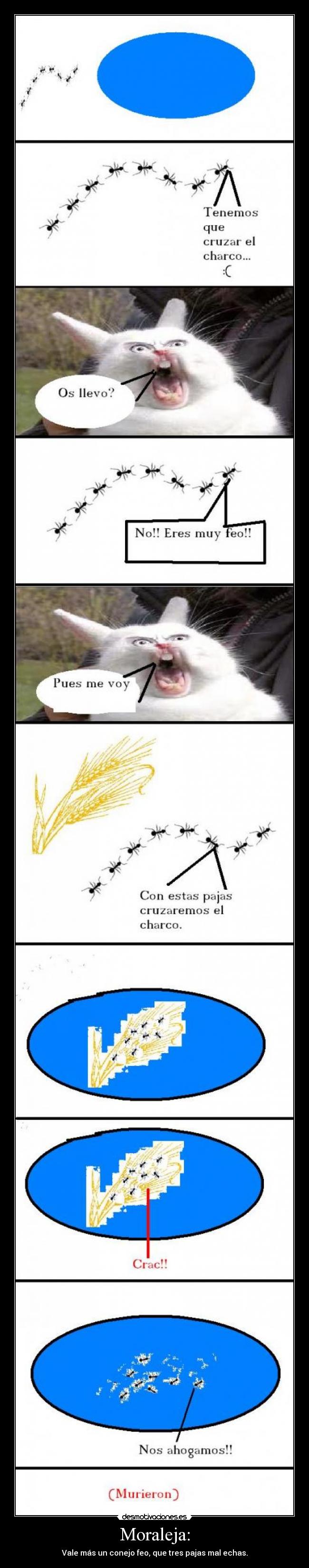 Moraleja: - Vale más un conejo feo, que tres pajas mal echas.