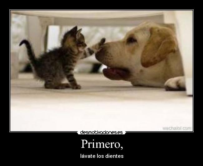 Primero, - lávate los dientes