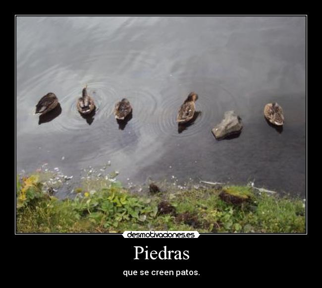 Piedras -