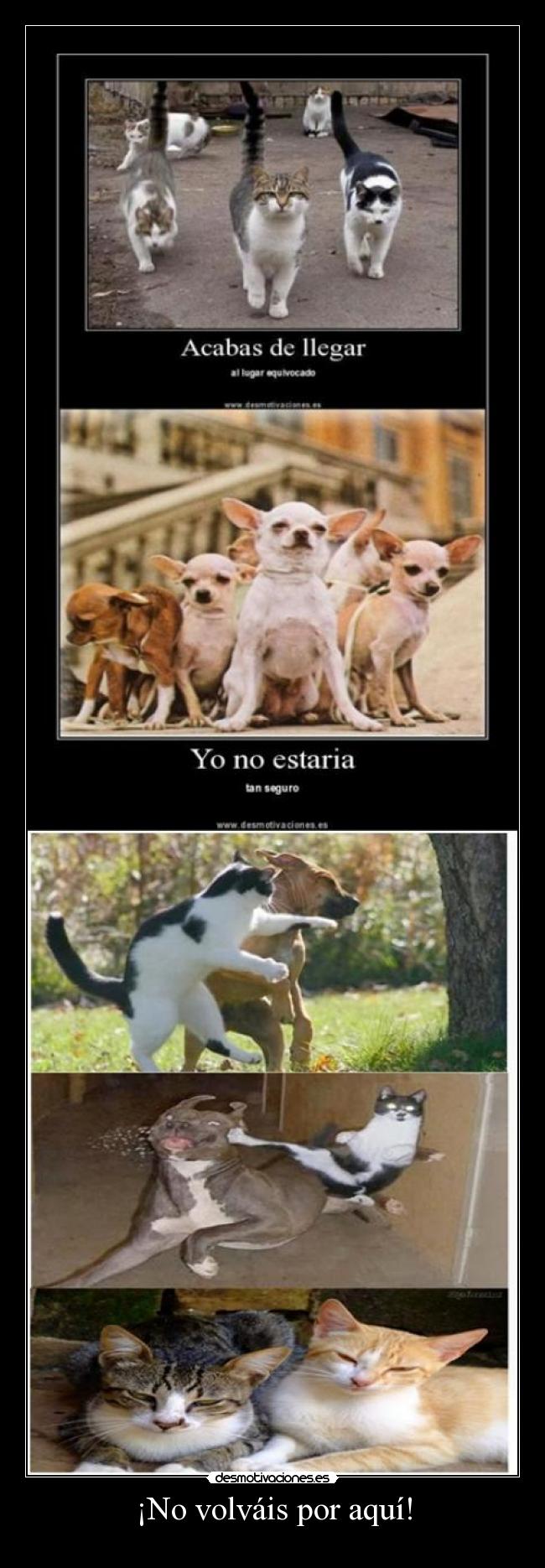 ¡No volváis por aquí! -