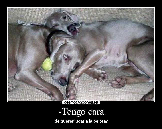 -Tengo cara - de querer jugar a la pelota?