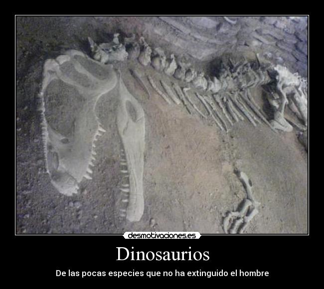 Dinosaurios - De las pocas especies que no ha extinguido el hombre