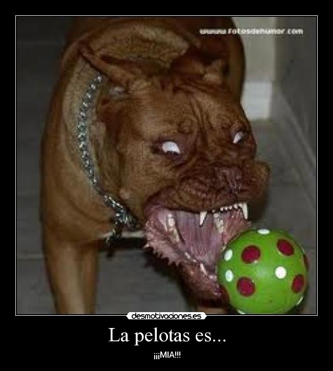 La pelotas es... - 