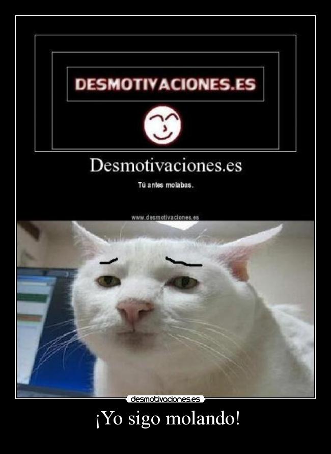 ¡Yo sigo molando! -