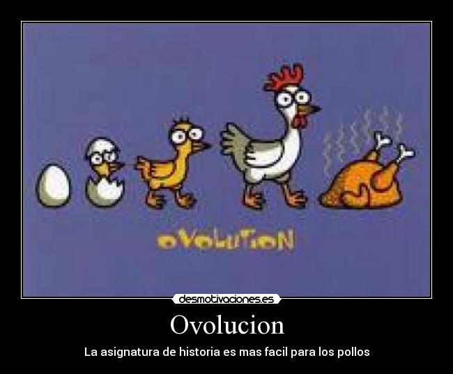 Ovolucion - La asignatura de historia es mas facil para los pollos