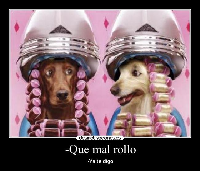 -Que mal rollo - -Ya te digo