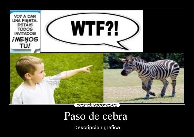 Paso de cebra  - Descripción grafica