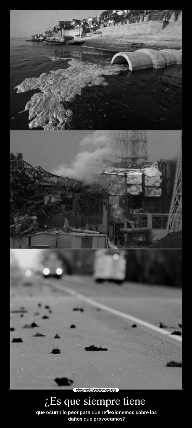 ¿Es que siempre tiene - que ocurrir lo peor para que reflexionemos sobre los
daños que provocamos?