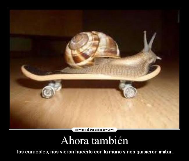 Ahora también - los caracoles, nos vieron hacerlo con la mano y nos quisieron imitar.