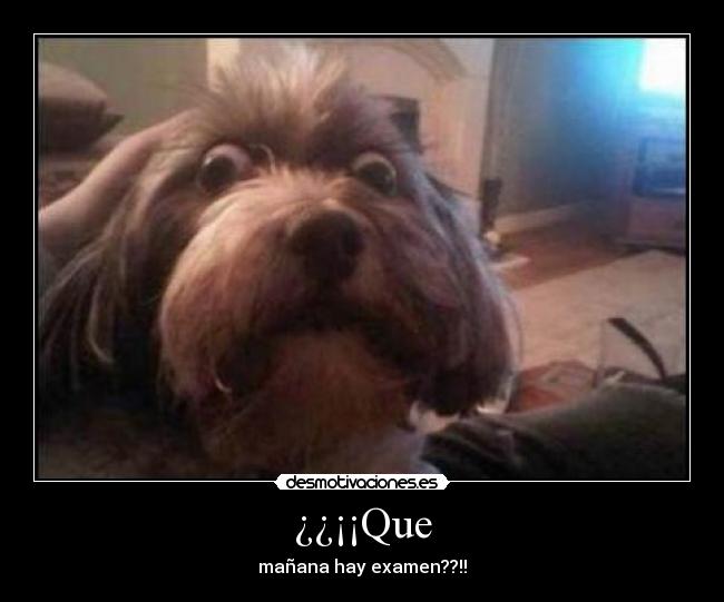 carteles examen cara desmotivaciones