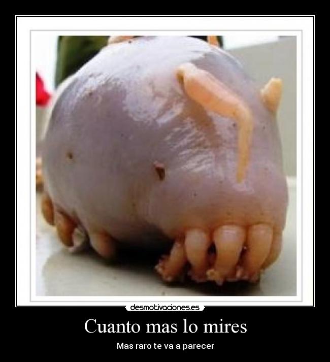 Cuanto mas lo mires - 