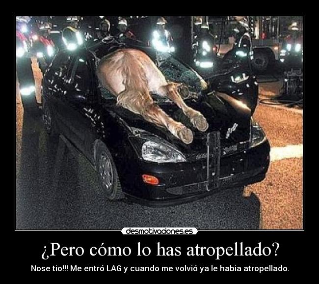 ¿Pero cómo lo has atropellado? -