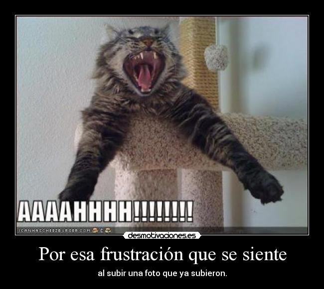 Por esa frustración que se siente -