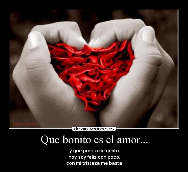 Que bonito es el amor... | Desmotivaciones